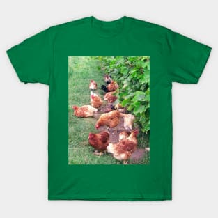 Vineyard With Chickens T-Shirt